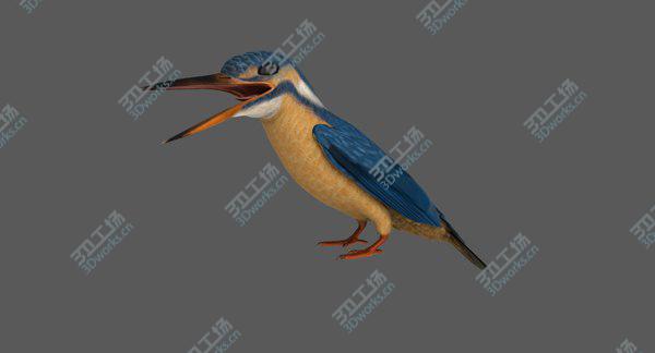 images/goods_img/20210312/Common Kingfisher 3D/4.jpg